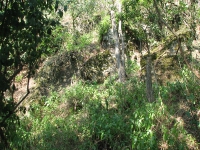 látnivaló címképe