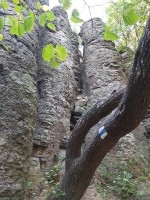 látnivaló címképe