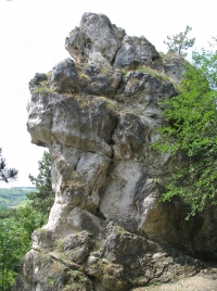 látnivaló címképe