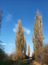 látnivaló címképe