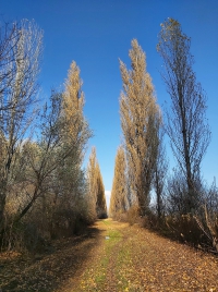 látnivaló címképe