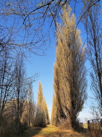 látnivaló címképe