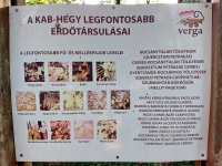 látnivaló címképe