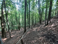 látnivaló címképe