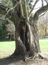 látnivaló címképe