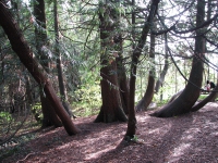 látnivaló címképe