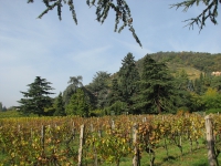 látnivaló címképe