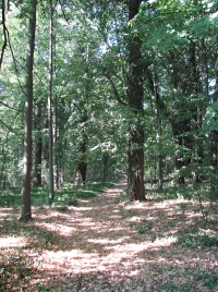 látnivaló címképe