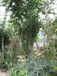 látnivaló címképe