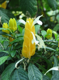 látnivaló címképe