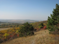 látnivaló címképe