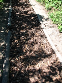 látnivaló címképe