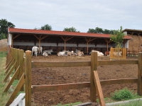 látnivaló címképe