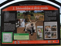 látnivaló címképe