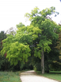 látnivaló címképe