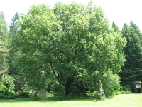 látnivaló címképe