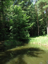 látnivaló címképe