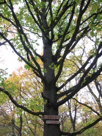 látnivaló címképe