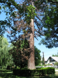 látnivaló címképe