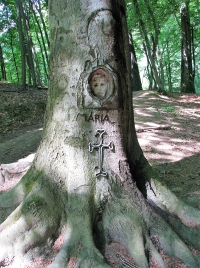 látnivaló címképe