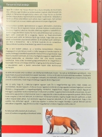 látnivaló címképe
