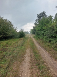 látnivaló címképe