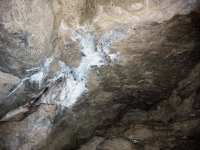 látnivaló címképe