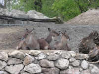 látnivaló címképe